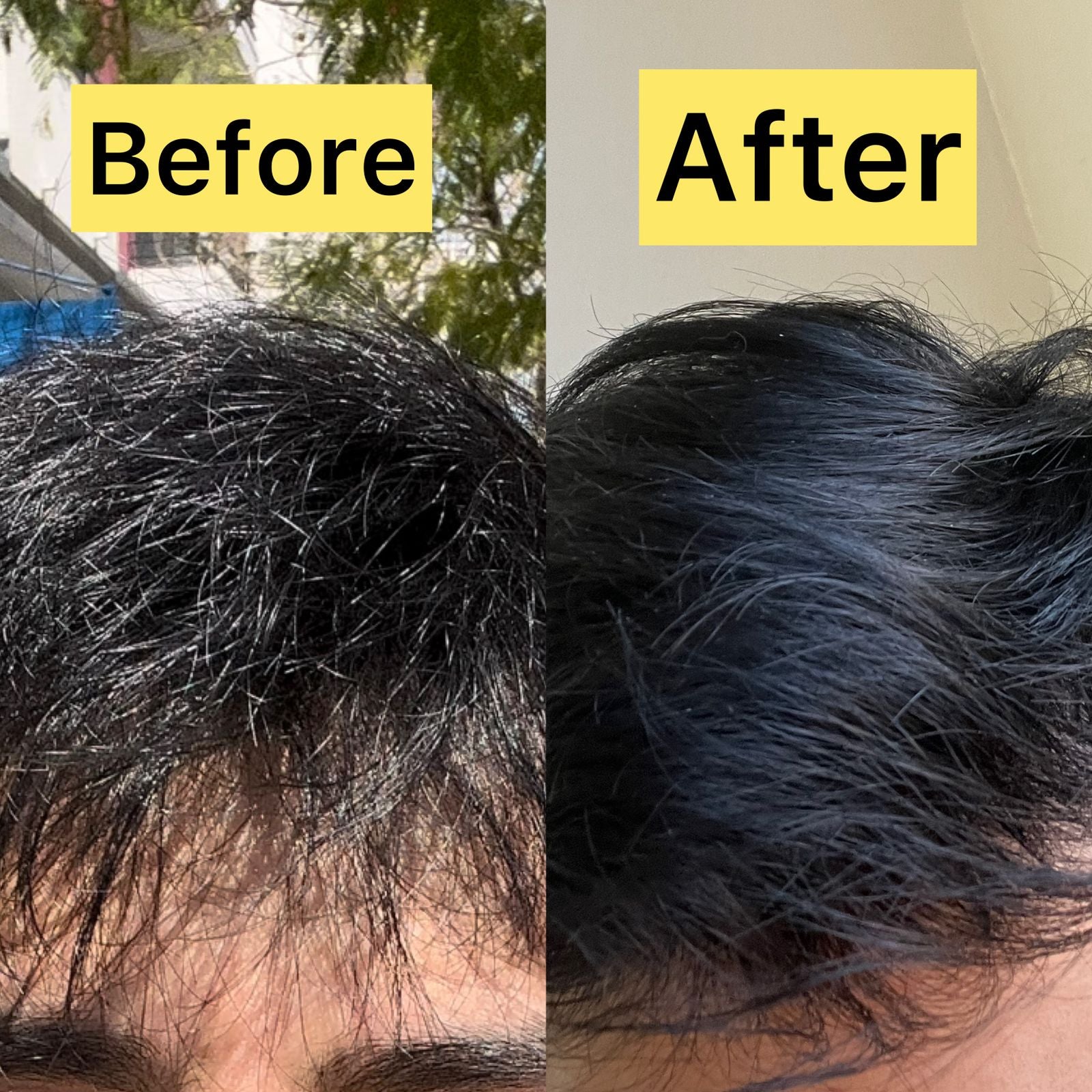 Jet Black Color And Shine Kit