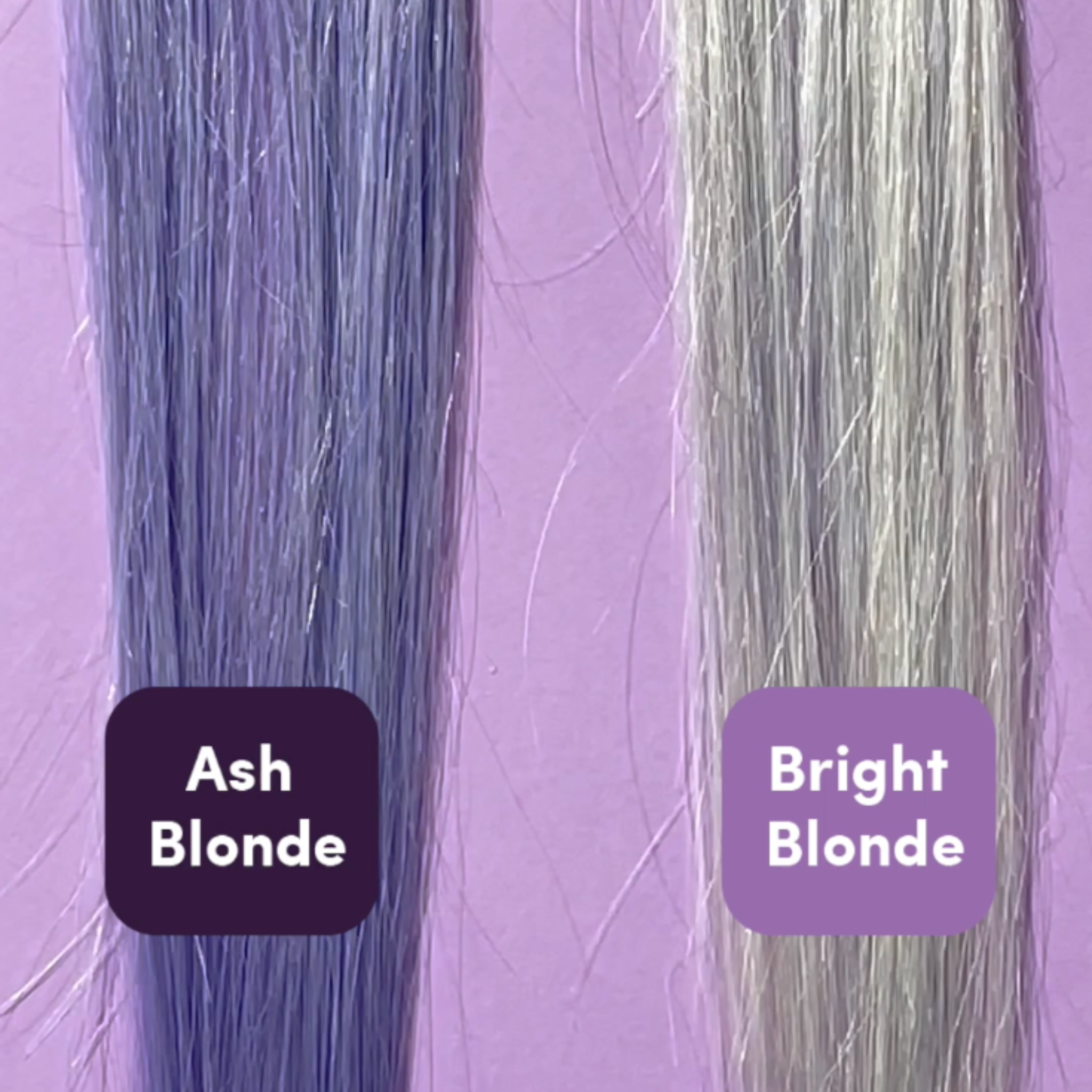Gentle Blonde Toning At Home Kit