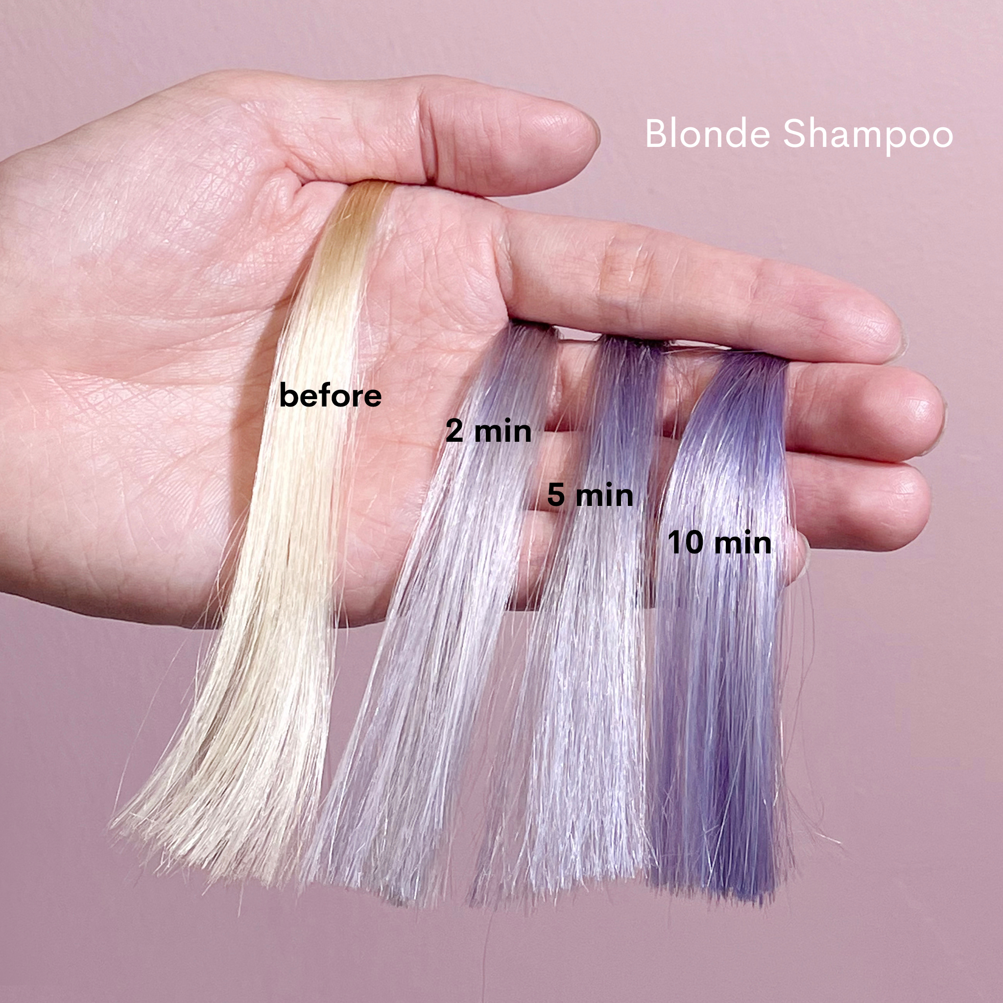 Ultimate Blondie Shampoo & Conditioner - Blondie Set