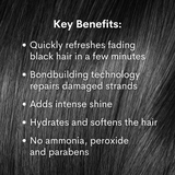 Pallure x Harvest: Jet Black Color And Repair Duo