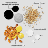 Pallure Jet Black Color Depositing Shampoo, 250 ml