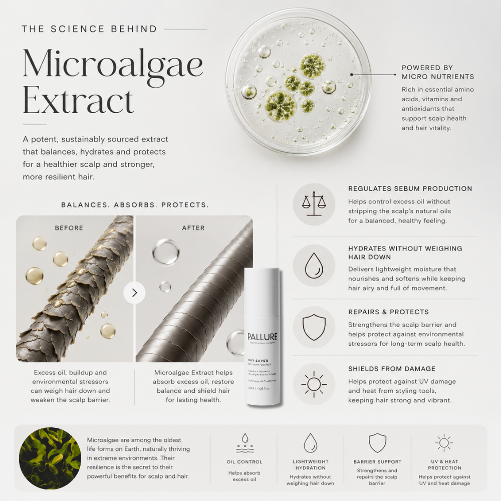Day Saver Dry Shampoo Mist